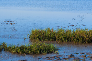 Das Wattenmeer der Nordsee vor Burhave/Deutschland bei Ebbe