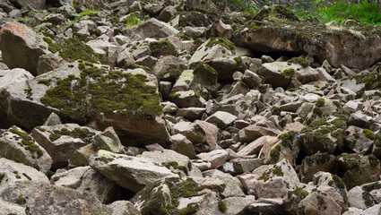 Stone scree in the mountains. Rockfall.