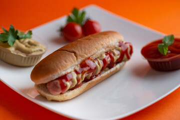 Tasty hot dog on white plate