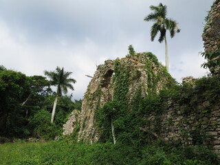 Fototapeta na wymiar an old ruin in the mountains in Las Terrazas in the month of November, Cuba 
