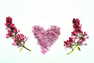 Fototapeta premium Heart and Twigs of Lilac
