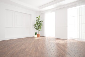 modern empty room with plant and lamp interior design. 3D illustration