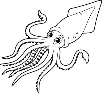 recommend clip art: Vector Cartoon Swimming Squid Line Art