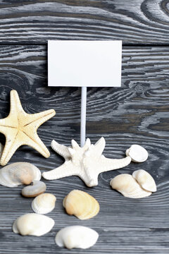Starfish and shells are scattered on pine boards painted in black and white. Among them is a pointer with a field for an inscription.