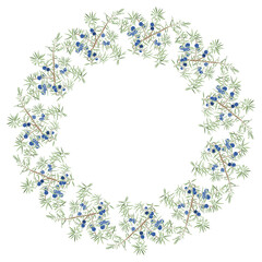 Round vector frame with juniper on white. Illustration with place for text, can be used creating card, menu or invitation card.