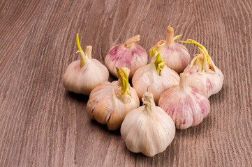 Group of garlic heads on a wooden background.