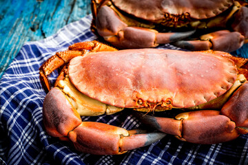 Big crab, sea ox, rustic background,