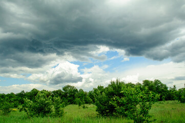 Obraz premium clouds over the forest