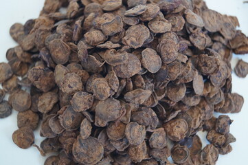 A type of herb used in kitchen