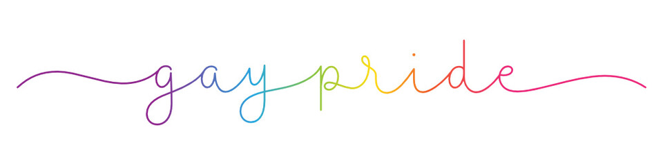 GAY PRIDE rainbow vector monoline calligraphy banner with swashes