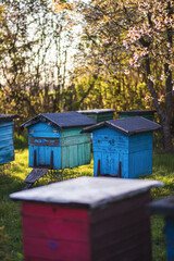 beehive, bee, ul, honey