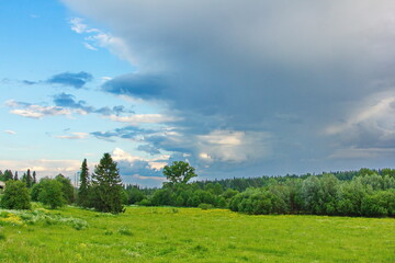 Fototapeta na wymiar expanse of blue sky over a green forest
