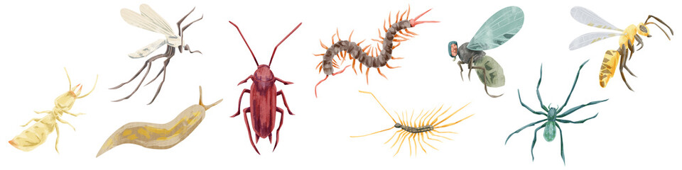 害虫9種水彩手描きイラスト