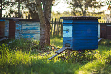 beehive, bee, ul, honey