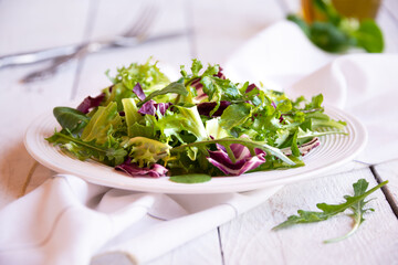 Green vegetable salad with arugula and radicchio