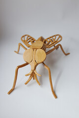 Fly from a tree on a white background