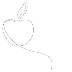 Apple on white background line drawing, vector illustration	
