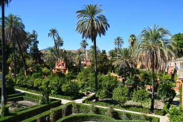 Fototapeta na wymiar Jardins de l'Alcazar de Séville Andalousie Espagne