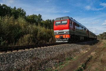 Obraz premium Red old train rides by rail among the forest in summer