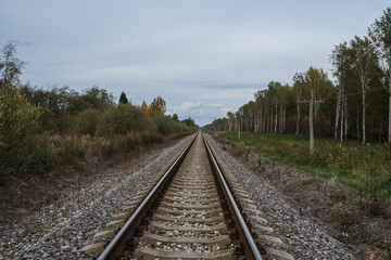 Fototapeta na wymiar old railway in forest on cloudy autumn