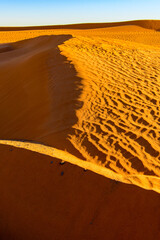 Sahara desert, Algeria