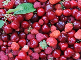 strawberries and berries