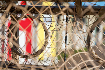 Detail of lobster pots and lobetser barns of Prince Edward Island