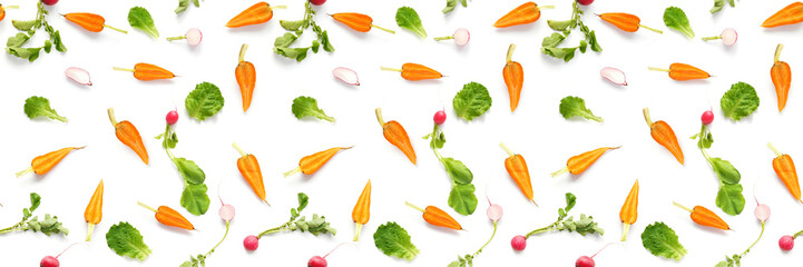 Vegetables isolated on white background. Food seamless pattern of vegetables: carrots, radishes, green tops. Top view, flat lay.