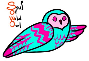 
Illustrations of owls in pink and mint color.