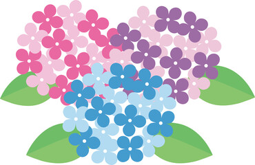 紫陽花あじさい