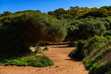 Tipasa, a colonia in Roman province Mauretania Caesariensis, nowadays Algeria. UNESCO World Heritage Site