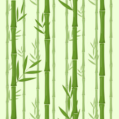Fototapeta na wymiar Set of vector bamboo isolated on white
