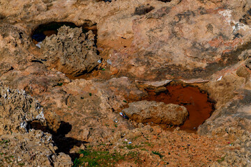 Coast of Tipasa, a colonia in Roman province Mauretania Caesariensis, nowadays Algeria. UNESCO...