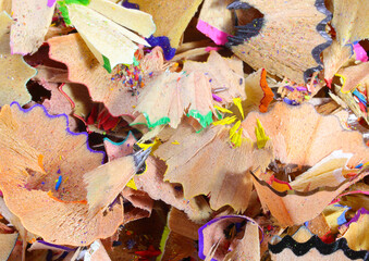 Wood shavings of pencils after sharpening them with a sharpener