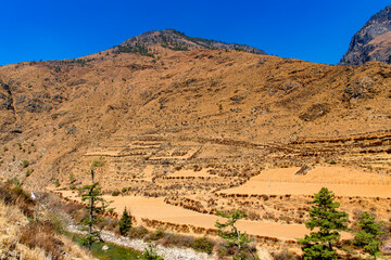Nature of mountains of Bhutan