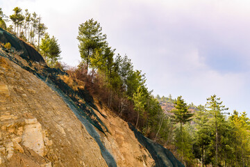 Nature of Bhutan