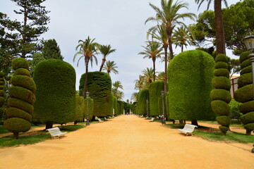 Jardins &agrave; Cadix Andalousie Espagne 