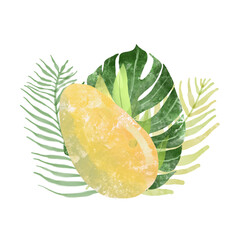 Seamless pattern, background with mango on white background. Hand drawn colorful  illustration without transparent and gradients.