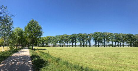 Fototapeta na wymiar Farmland panorama around Halle