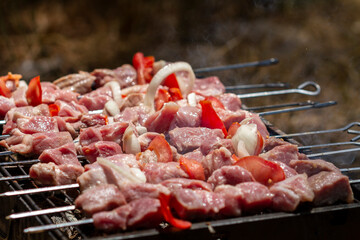 Raw fresh meat for skewers on skewers lies on the grill for frying.
