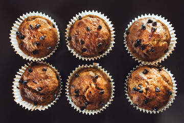 Chocolate Chip Cake and Cupcake Muffin