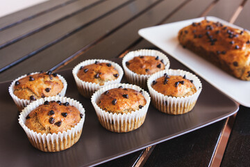 Chocolate chip cupcake muffins