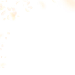 Yellow orange flower petals falling down. Indelibl