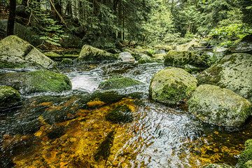 Mountain river in the forest with a water and rocks