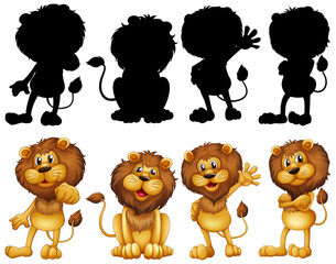 Lion with its silhouette