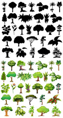 Set of plant and tree with its silhouette