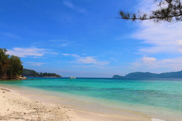 tropical beach with palm trees