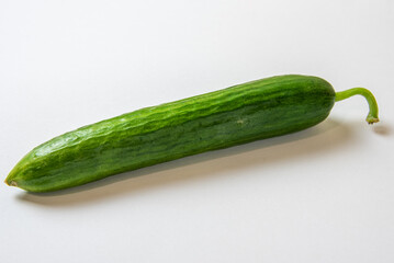 Single green fresh cucumber on a white background