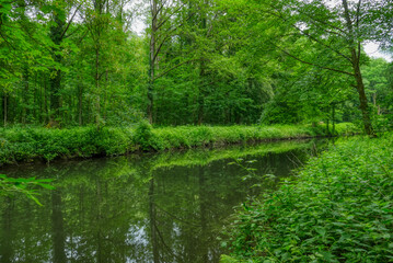 Blick auf den Obergraben neben der Wupper bei Solingen im Sommer
