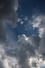 sunrise, city, nature, clouds, flowers